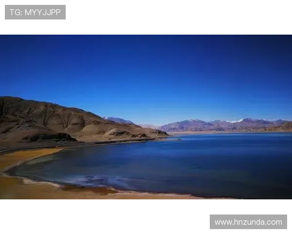 《风中百合》：一曲生命赞歌，一次灵魂洗礼，照亮你我前行的路