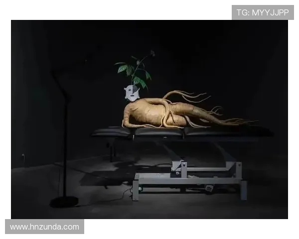 queen8图片：解锁视觉盛宴，点燃你的灵感火花