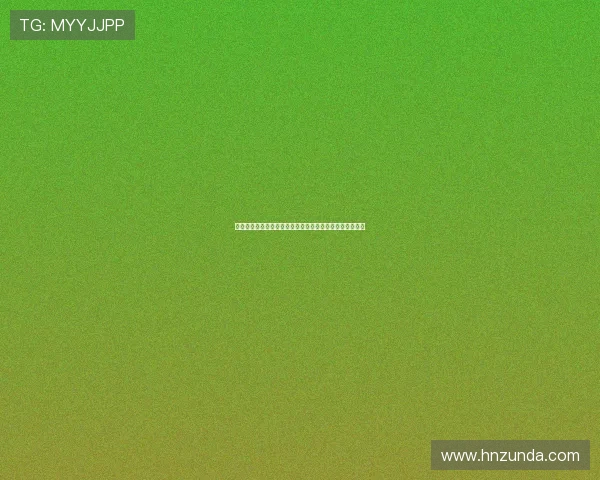 决战洛城：不只是篮球，更是关于梦想、荣耀与不屈的史诗