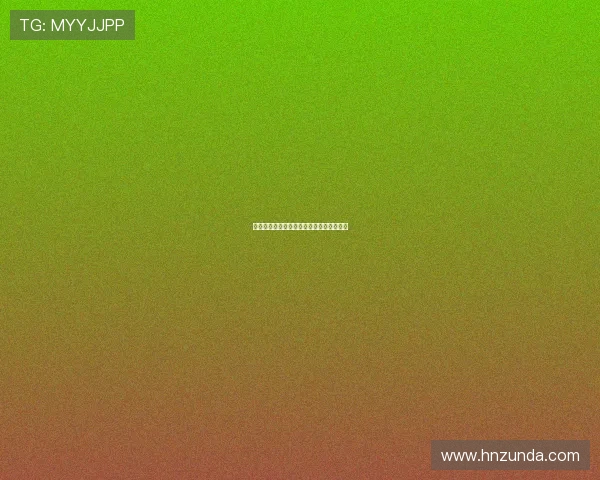 告别囧途：一场关于自由与探索的华丽转身